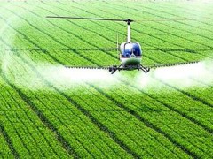 要求強化農產品質量監管 農業生產“三品一標”行動方案發布