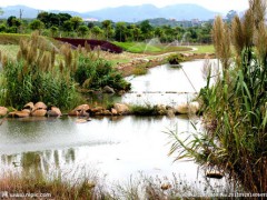 生態環境部出新規---《中華人民共和國土壤污染防治法》