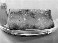 科學儀器助力環境保護 避免重金屬污染