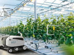 智慧農業建設迅速 農業機器人迎風發展