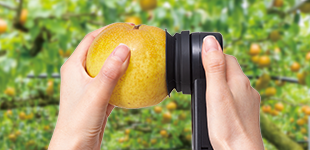 ATAGO愛宕水果糖度計檢測方法.png ATAGO愛宕水果糖度計檢測方法.png