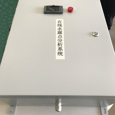 羅卓尼克 在線露點檢測系統