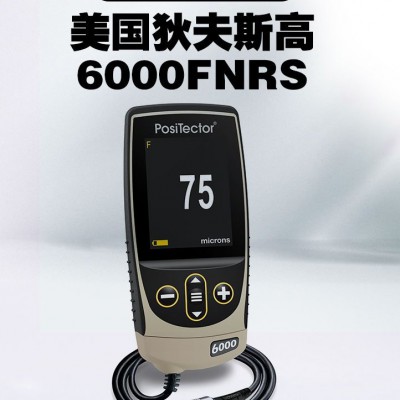 美國PosiTector 6000FNS1